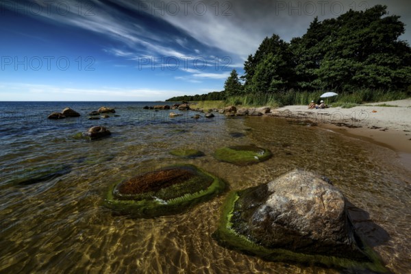 Rocky coast with wooded surroundings and clear blue sky on Juminda Peninsula, Kiiu, Aabla, Juminda Peninsula, Estonia