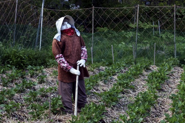 Fabric figure in a garden depicting rural work