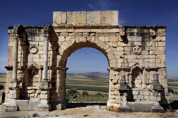 Preserved Roman triumphal arch with ancient stone reliefs in the ruins of Volubilis, Volubilis, Fès-Meknès, Morocco