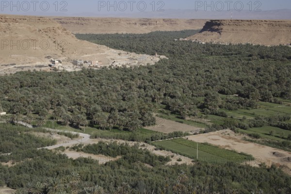 Extensive views of the green Ziz Valley surrounded by barren mountains