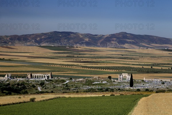 Ruins of Volubilis lie under a clear sky, surrounded by fields and hills. The view stretches across a wide landscape, Volubilis, Morocco, Morocco