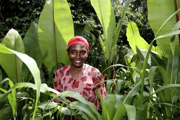 Woman standing amidst thick vegetation surrounded by Ensete plants, traditional red headdress, Yirga Alem, null, Ethiopia