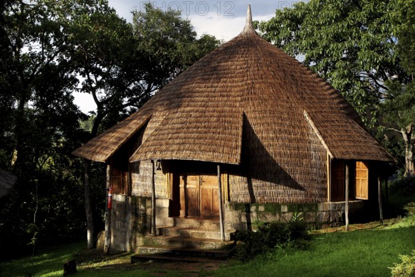 Traditional thatched hut surrounded by thick vegetation, Yirga Alem, Ethiopia