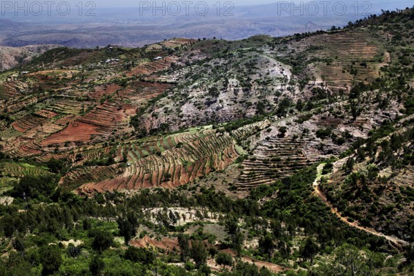 Wide landscape between Awash and Harar with terraced hills and vegetation, Awash, Afar, Ethiopia