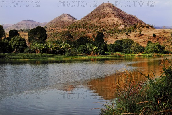 River with mountains in the background and trees on the banks of the Nile Valley, Tisissat, Nile Valley, Ethiopia