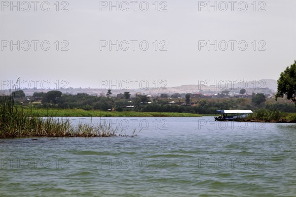 Quiet waterfront area in Lake Tana near Blue Nile Outlet, Tana Lake, Amhara, Ethiopia