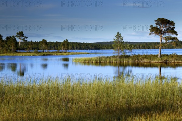A peaceful lake landscape in Lapland with still waters and blue skies surrounded by untouched nature, Lapland, Finland