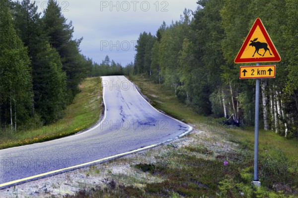 Empty country road with elk warning sign in quiet forest landscape, Lapland, Finland