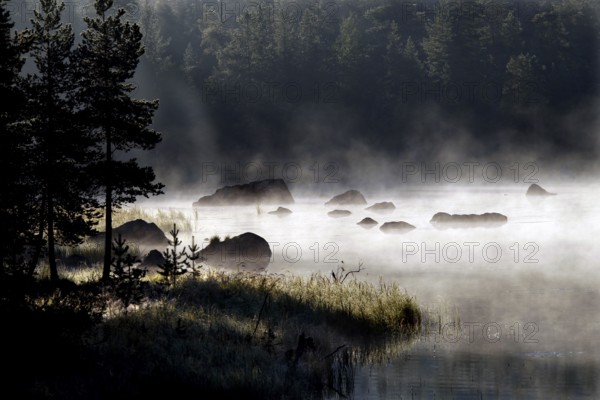 Misty lake landscape in Lapland with trees on the shore, Lapland, Finland