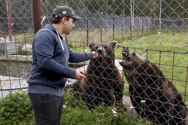 Nurse interacts with bears in the Suurpetokeskus kennel, Kuusamo, Finland
