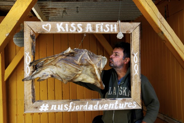 Man posing with stockfish in wooden frame in Nusfjord, Nusfjord, Flakstadøy, Norway
