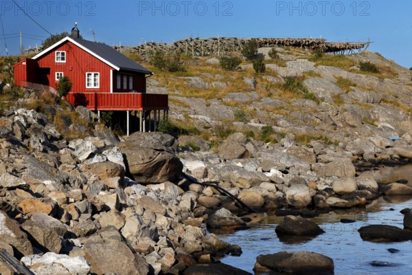 A red hut on rocks with a view of the wild Sakrisøys coastal landscape, Sakrisøy, Moskenesøy, Norway