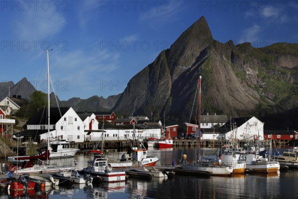 Sakrisøy harbour with boats, surrounded by the distinctive Lofoten mountains, Sakrisøy, Moskenesøy, Norway