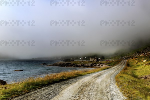 Foggy road on Vestvågøy runs along the coast, Vestvågøy, Lofoten, Norway