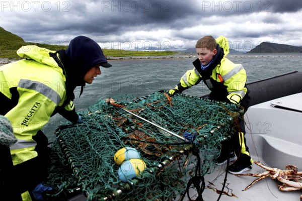 Fishermen on rib boat throw out king crab trapping net in rough seas, Sarnesfjord, Norway