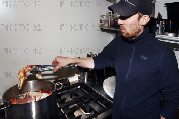 Man cooks king crab in a large cooking pot in the kitchen, Sarnes, Norway