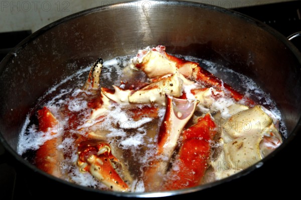 King crab legs cooking in a large pot in Sarnes, Sarnes, Norway