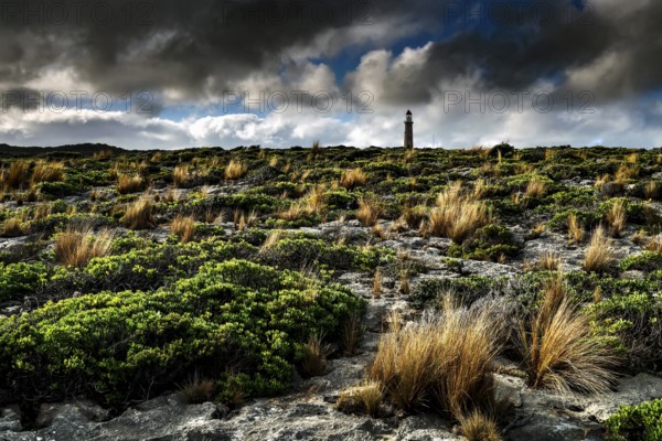 A lighthouse stands out in rugged vegetation under a dramatic sky near Cape du Couedic, Kangaroo Island, South Australia, Australia