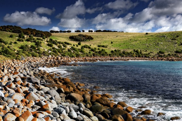The rocky coastline of Cape Willoughby with green fields and blue sea, Kangaroo Island, South Australia, Australia