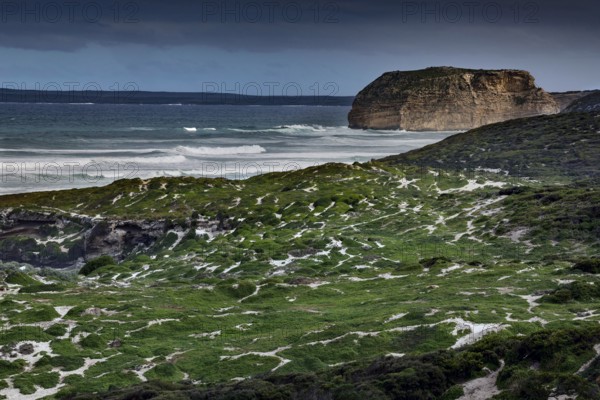 Rugged coastline with green hills and ocean cliffs on Kangaroo Island, Seal Bay, Kangaroo Island, Australia