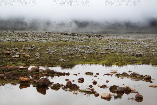 Humid plateau with puddles and fog in front of it, Bale Mountains, Oromia, Ethiopia