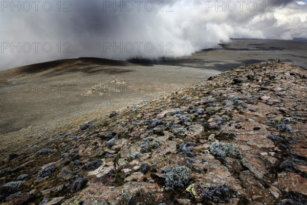 View from Tulu Dimtu with dramatic cloudy sky and wide landscape, Bale Mountains, Sanetti Plateau, Ethiopia