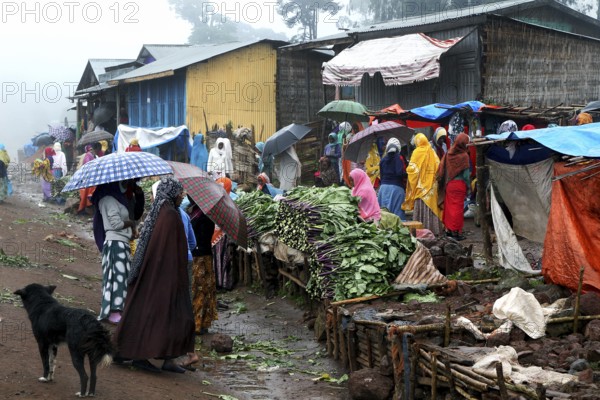 Lively marketplace in Rira with colorful umbrellas and rainy atmosphere, Rira, Bale Mountains, Ethiopia