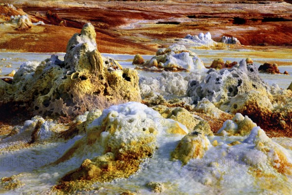 Bizarre limestone formations in the hot geothermal area of Dallol, Dallol, Afar region, Ethiopia