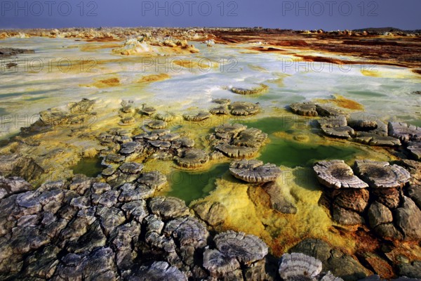 Vivid colors and volcanic formations in the geothermal area of Dallol with hot springs, Dallol, Afar, Ethiopia
