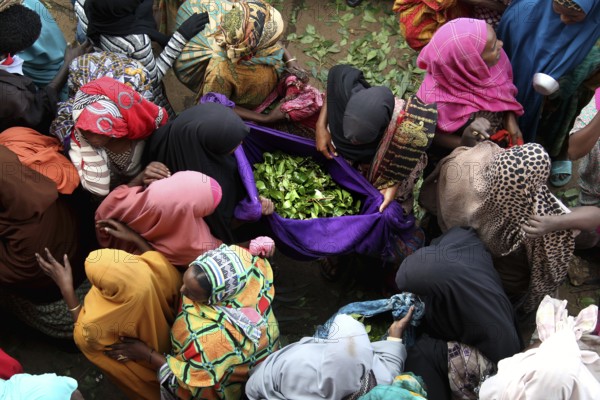 Women in a busy market gather around Khat stands, Awaday, Ethiopia