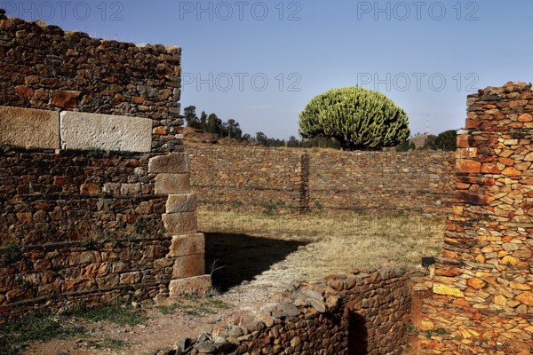Stone palace of the Queen of Sheba in Axum shows ancient architecture in front of a peaceful landscape, Axum, Ethiopia