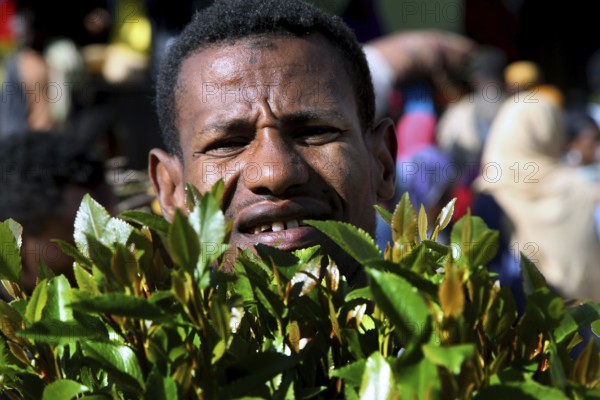 Man looking through a bundle of khat in a vivid market scenario, Awaday, Afar, Ethiopia
