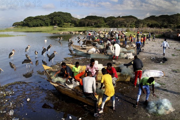 Hustle and bustle at the fish market, boats and people on the shores of the lake, Awassa, Ethiopia