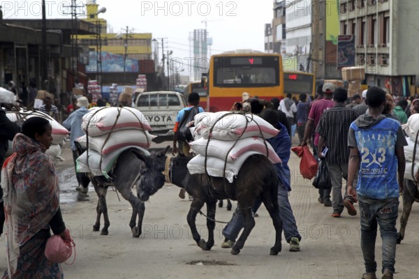 Street scene with loaded donkeys and passing vehicles in the city, Addis Ababa, Mercato, Ethiopia