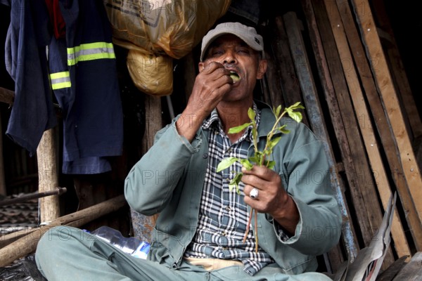 A man sits and chews on plants on the Mercato in Addis Ababa, Addis Ababa, Ethiopia