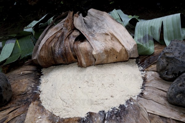 Fermented dough from Ensete wrapped in banana leaves in Dorze village, Dorze village, Ethiopia