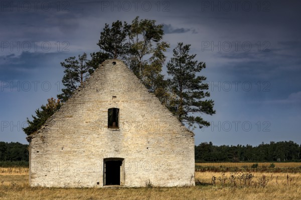Abandoned farmhouse in Vihula surrounded by nature and trees, Vihula, Estonia