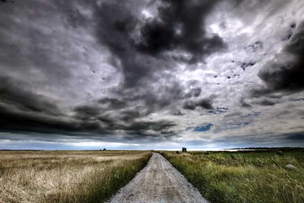 Dramatic clouds over a straight road through Vilsandi National Park, Vilsandi National Park, Saaremaa, Estonia