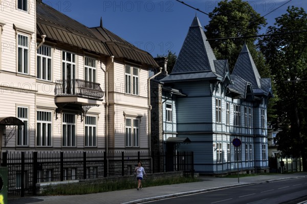 Traditional wooden houses in Kadriorg Tallinn surrounded by green trees, Tallinn, Harju, Estonia