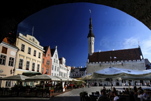 Old Town of Tallinn with a view of the lively Town Hall Square, Rathausplatz, Rathausplatz and historic buildings, Tallinn, Estonia