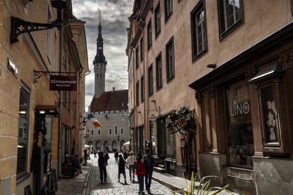 View from Mündi Tänav of Tallinn's Town Hall and Gothic buildings, Tallinn, zero, Estonia