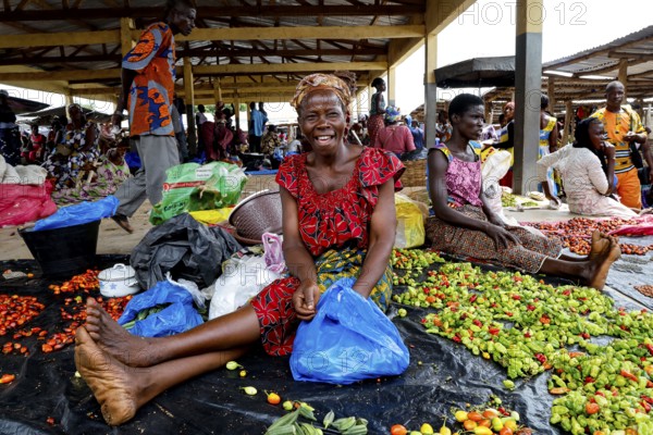 Woman sitting smiling at a market surrounded by colorful vegetables and other goods, Brobo, Côte d'Ivoire