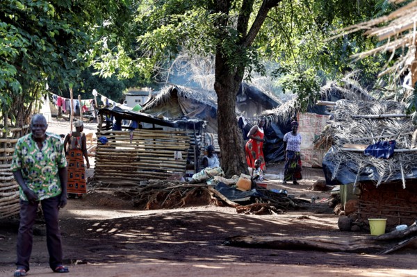 Scene in a village with traditional huts under shady trees and people active in the background, Brobo, Côte d'Ivoire