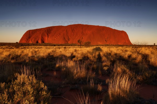 Spectacular view of Uluru at sunset in the outback, Ayers Rock, Australia