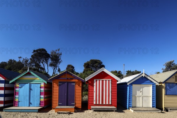 Colourful beach houses of Brighton Beach glow against clear blue skies and green vegetation, Brighton, Victoria, Australia