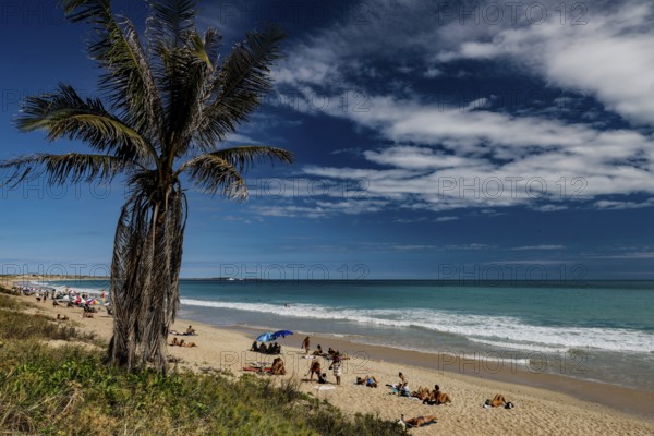 Coconut tree overlooks a busy beach day at Cable Beach, Broome, Western Australia, Australia