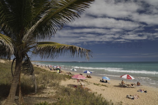 Beach day with coconut trees and colorful umbrellas on Cable Beach, Broome, Western Australia, Australia