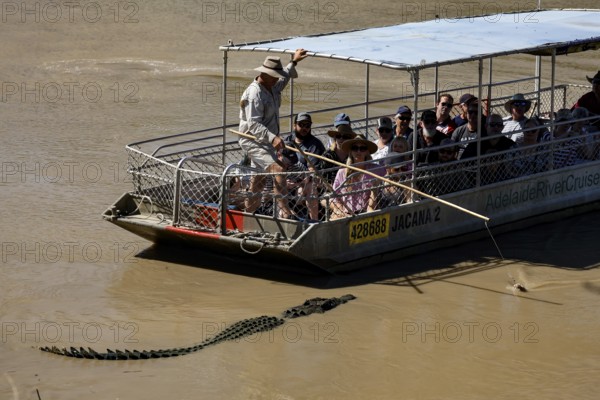 Boat trip on the Adelaide River with a crocodile swimming nearby, Adelaide River, Northern Territory, Australia