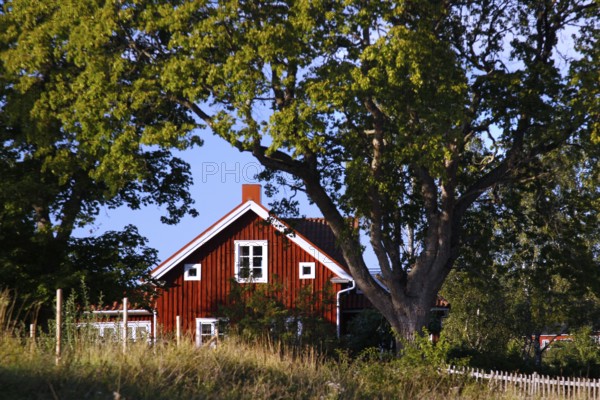 Red wooden house in Kastelholm surrounded by green trees in summer light