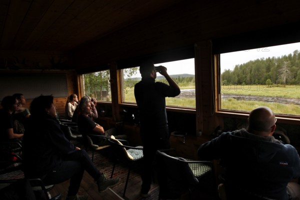 People watch nature from a bear watching lodge, Karhu, Kuusamo, Finland